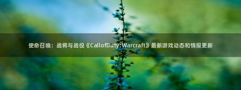 高德娱乐网址注册：使命召唤：战将与战役《CallofDuty