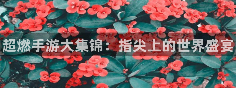 高德娱乐注册测速：超燃手游大集锦：指尖上的世界盛宴