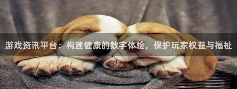 高德娱乐怎么注册：游戏资讯平台：构建健康的数字体验，保护玩家