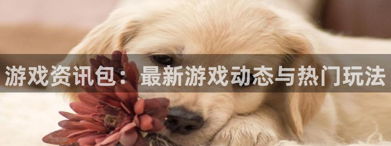 手机高德娱乐下载安装：游戏资讯包：最新游戏动态与热门玩法