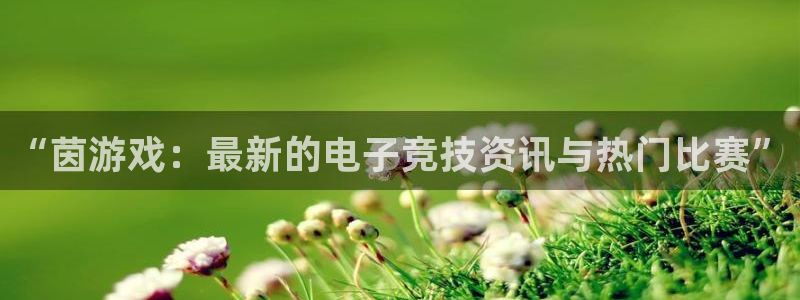 高德娱乐注册服务条款：“茵游戏：最新的电子竞技资讯与热门比赛