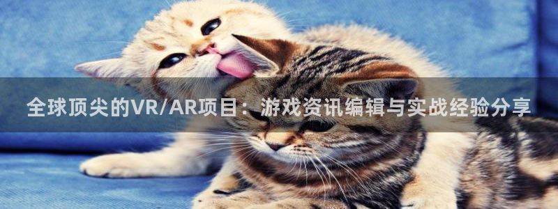 高德娱乐：全球顶尖的VR/AR项目：游戏资讯编辑与实战经验分