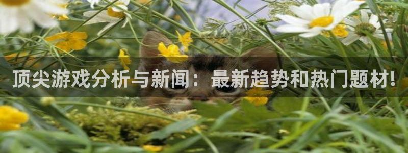 高德娱乐注册地址：顶尖游戏分析与新闻：最新趋势和热门题材!