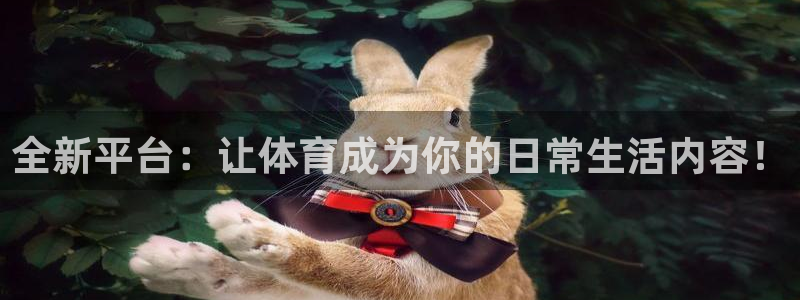 jrs直播直播极速体育：全新平台：让体育成为你的日常生活内容！
