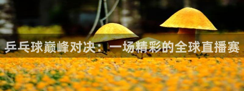 nba直播吧 极速体育：乒乓球巅峰对决：一场精彩的全球直播赛