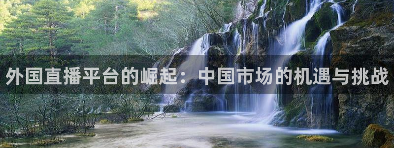 体育吧直播极速：外国直播平台的崛起：中国市场的机遇与挑战