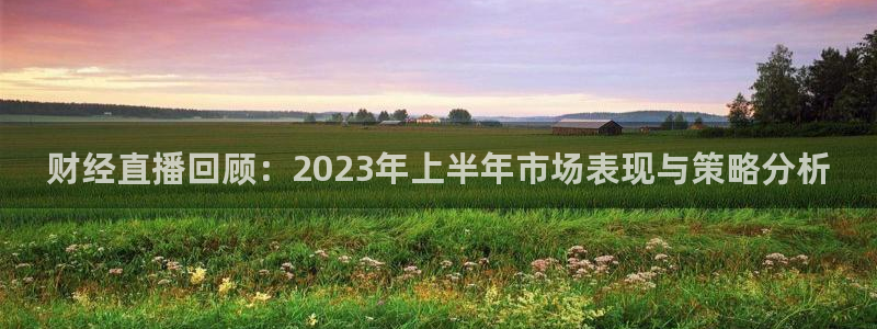 极速直播nba体育直播下载：财经直播回顾：2023年上半年市场表现与策略分析