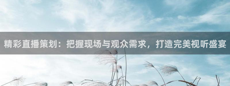 极速体育直播免费观看：精彩直播策划：把握现场与观众需求，打造完美视听盛宴