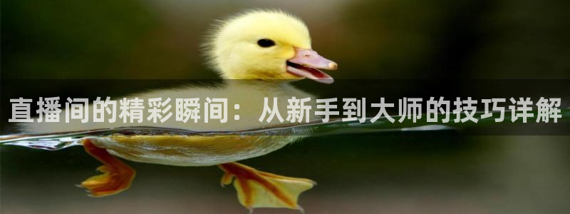 极速体育nba 直播jrs：直播间的精彩瞬间：从新手到大师的技巧详解