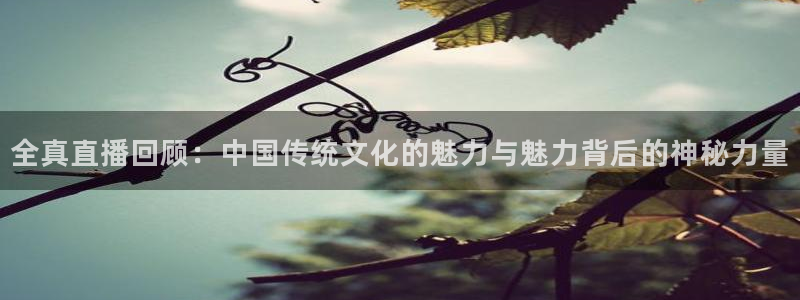 极速吧体育直播：全真直播回顾：中国传统文化的魅力与魅力背后的神秘力量