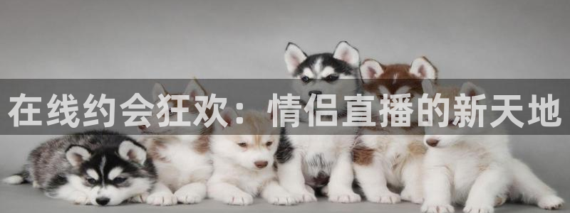 极速体育直播在线观看免费：在线约会狂欢：情侣直播的新天地