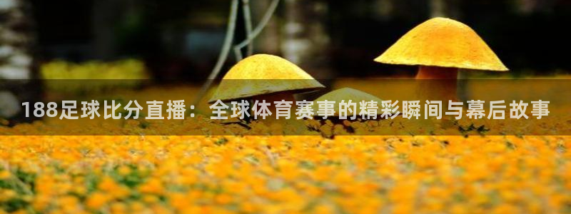极速体育nba免费直播高清观看：188足球比分直播：全球体育赛事的精彩瞬间与幕后故事
